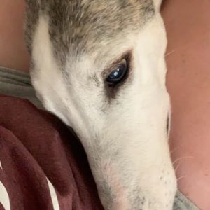 Meet your Posher, Deborah